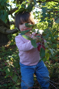 Naomi picks apples