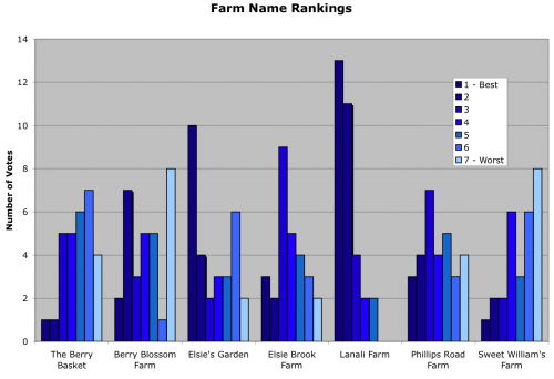 name-survey.png